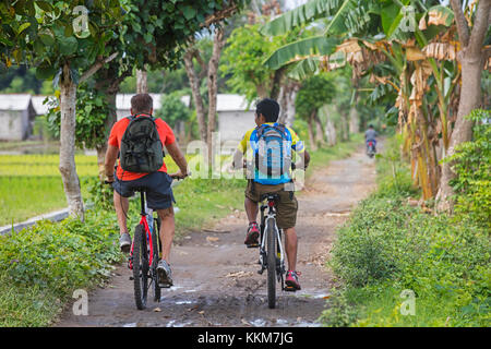 Westliche Touristen mit indonesischen guide Riding Mountain bikes während der Radtour zwischen den Reisfeldern auf der Insel Lombok, Indonesien Stockfoto