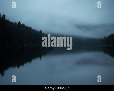 Großer Arbersee im Herbst, Bayerischer Wald, Bayern, Deutschland, Stockfoto