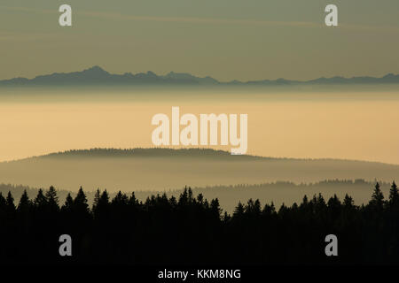 Panoramablick auf dem Herzogenhorn bei Sonnenaufgang, Schwarzwald, Baden-Württemberg, Deutschland Stockfoto