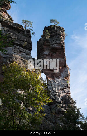 Klettern Szene an der pk-Kante auf der hochsteinnadel, Dahner Felsenland, Pfälzer Wald, Rheinland - Pfalz, Deutschland, Stockfoto