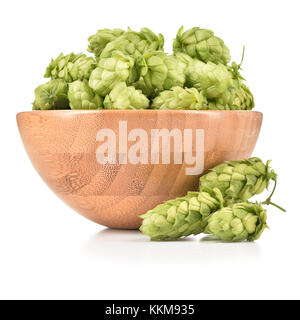 Frischer Hopfen (Humulus lupulus) in einer Holzschüssel, isoliert auf weißem Hintergrund. Hopfenhaufen, Zutat für die Brauereiindustrie. Stockfoto