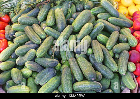 Haufen Gurken an Farmers Market Stockfoto