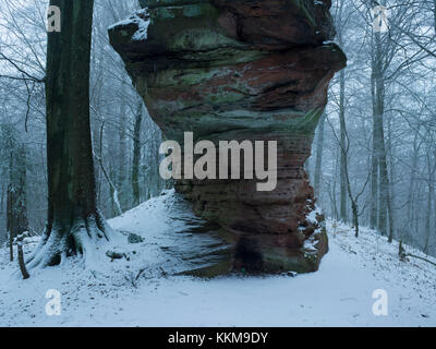 Burgruine im Winter, wegelnburg, Pfalz, Rheinland-Pfalz, Deutschland, Stockfoto