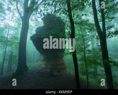 Wald in Morgenstimmung in der Nähe der Wegelnburg, Pfalz, Rheinland-Pfalz, Deutschland, Stockfoto