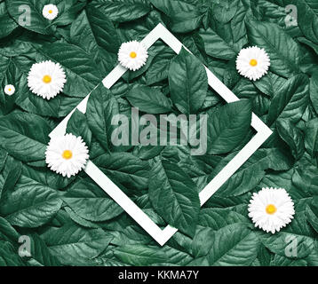Kreative Gestaltung von Blüten und Blättern mit Papier. Flach. eco Natur Konzept. Stockfoto