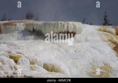 Mammut heißen Quellen, Yellowstone-Nationalpark Stockfoto