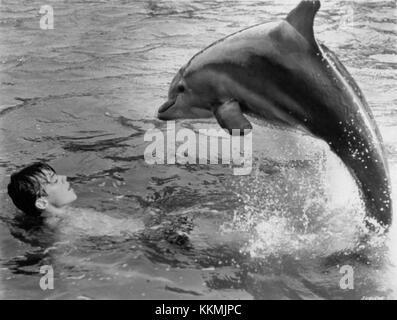 Flippers Neues Abenteuer Luke Halpin 1964 Stockfoto