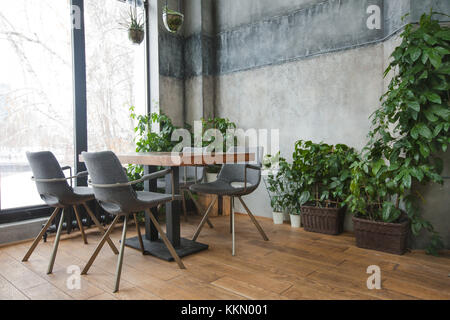 Cafe Interieur mit Einrichtung in Grün Stockfoto