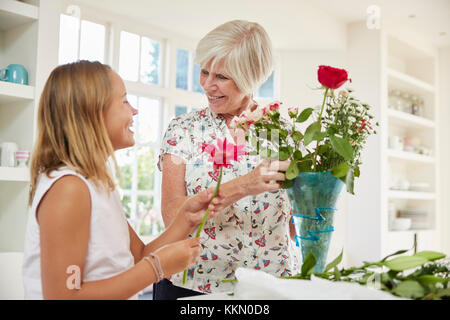Ältere Frau, die Blumen mit Enkeltochter zu Hause Stockfoto