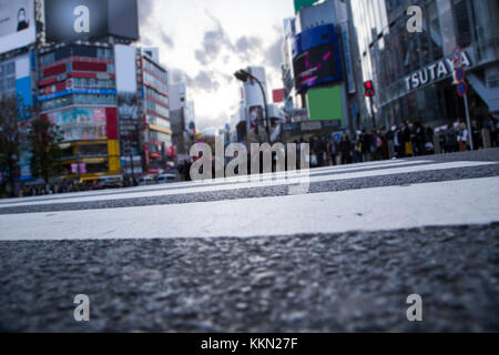 Shibuya Kreuz aus Sicht von unten Stockfoto