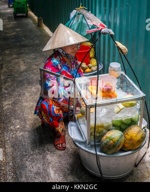 Lokale Lebensweise: Frau mit einem konischen Hut verkauft Lebensmittel in Packtaschen, Binh Tay ODER Hoa Binh Markt, Chinatown (Cholon), Saigon (Ho Chi Minh Stadt), Südvietnam Stockfoto