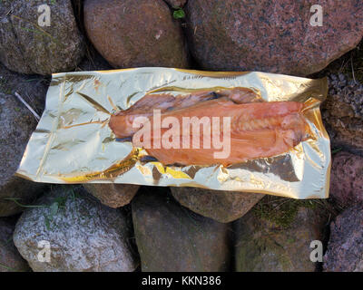 Warm geräucherter Lachs Rippen im Vakuum pack Outdoor auf Steinen Nahaufnahme Stockfoto