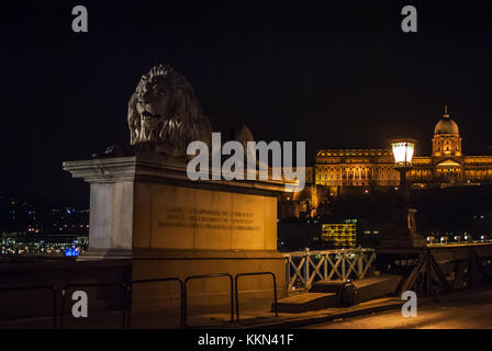 Budapest, Ungarn - 02 Januar, 2017: Kettenbrücke in Budapest bei Nacht Stockfoto