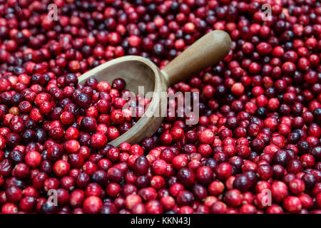 Frische Cranberries in einem Markt. Stockfoto