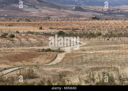 Almond Grove in der Sierra de las Estancias, Andalusien Berglandschaft, Spanien Stockfoto