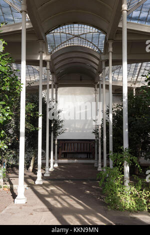 Nachmittag Licht und Schatten in die Kamelie Haus Wollaton Park in Nottingham, Nottinghamshire England Großbritannien Stockfoto