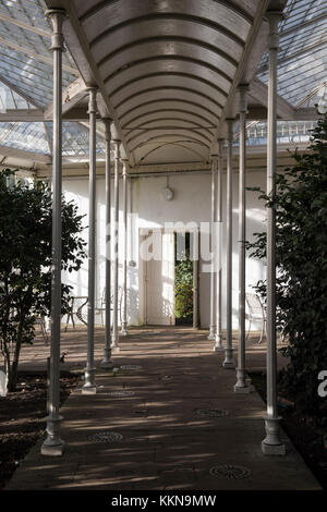 Nachmittag Licht und Schatten in die Kamelie Haus Wollaton Park in Nottingham, Nottinghamshire England Großbritannien Stockfoto