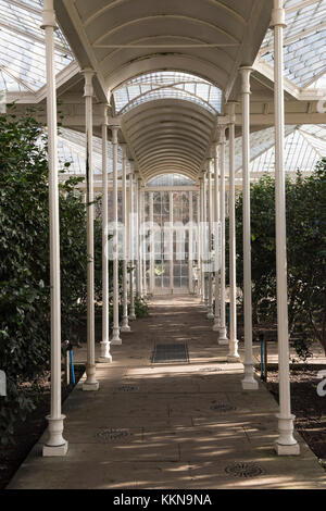 Nachmittag Licht und Schatten in die Kamelie Haus Wollaton Park in Nottingham, Nottinghamshire England Großbritannien Stockfoto