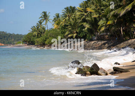 Tropische Landschaft mit Palmen und Sandstrand, Mirissa, Sri Lanka, Asien Stockfoto