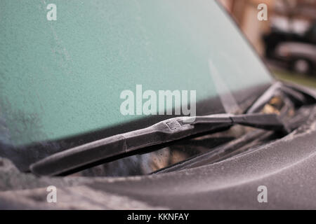 Am frühen Morgen Frost auf die Fenster und die Windschutzscheibe von einem Pickup. Stockfoto