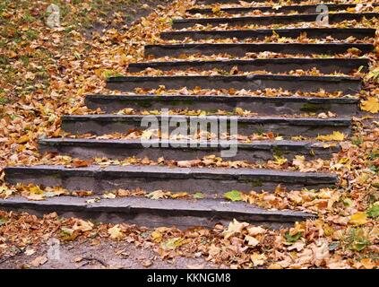 Treppen mit herbstlaub Perspektive unten behandelten Schritte konzentrieren Stockfoto