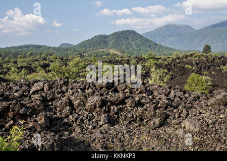 Ein Meer aus getrocknetem Lavagestein im abgelegenen Dorf San Juan Parangaricutiro, Michoacan, Mexiko. Dieses Gebiet wurde von einem achtjährigen Ausbruch des Vulkans Paricutin bedeckt, der 1943 zwei Dörfer verzehrte und die Region mit Lava und Asche bedeckte. Stockfoto