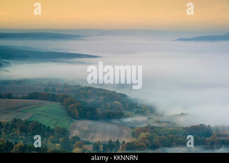 Morgen Nebel über dem Saaletal, leuchtenburg, seitenroda, Kahla, Thüringen, Deutschland Stockfoto