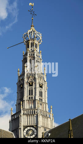 Die Große oder St. Bavo Kirche, Kirchturm, Haarlem, Nord Holland, Niederlande Stockfoto