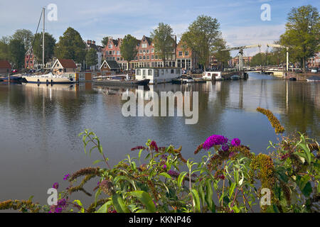 Blick von Westerdock zu Zoutkeetsgracht in Amsterdam, Noord-Holland, Niederlande Stockfoto
