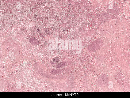 Claret Marmor Hintergrund Stockfoto