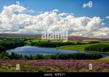 Thruscross Reservoir, im malerischen Washburn Valley, Nidderdale, North Yorkshire, eingerahmt von Heidemoorland an einem schönen Sommertag. Stockfoto