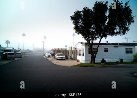 Neblig, Ende November Morgen in einem South Texas Ruhestandgemeinschaft. Stockfoto