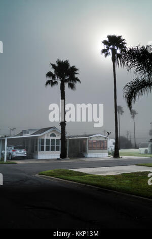 Morgens Nebel auf einem RV Resort in Weslaco, Texas Stockfoto