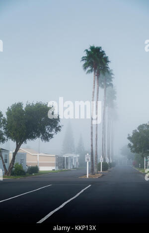 Morgens Nebel auf einem RV Resort in Weslaco, Texas Stockfoto