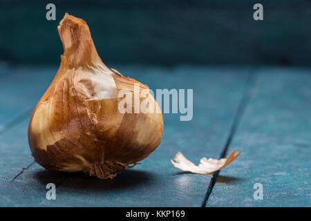 Geräuchertem Knoblauch auf Benzin - farbige Holz- Hintergrund. Stockfoto