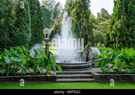 Die Gärten der Villa Taranto in Verbania sind weltweit für ihre Schönheit und die große Zahl von Pflanzenarten bekannt Stockfoto