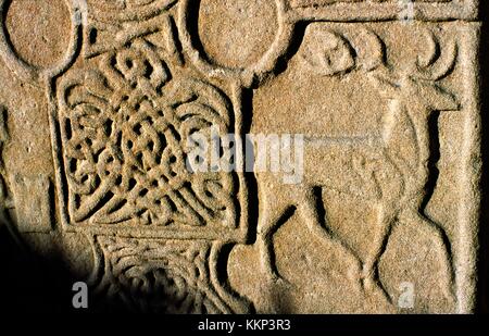 Detail der eassie geschnitzten Stein keltischen Piktischen christliche Kreuz Tafel in der Nähe von Coupar Angus, tayside, Schottland. Knotwork und Deer stag Stockfoto