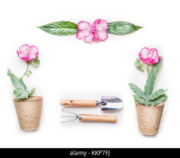 Gartenarbeit Konzept Rahmen mit Garten und Blumen in Töpfe auf weißem Hintergrund, Ansicht von oben Stockfoto