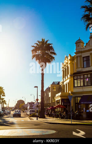 Street Scene, Esplanade Hotel, Bar und Palme in Devonport, Auckland, Neuseeland Stockfoto