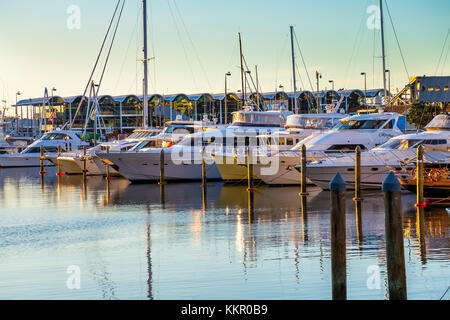 Boote im Hafen Marina bei Sonnenuntergang, Auckland, Neuseeland Stockfoto