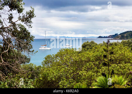 Malerischer Blick auf üppigen grünen Vegetation und Boote in Waiheke Island, Neuseeland Stockfoto