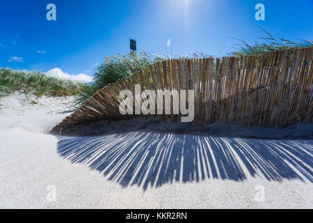 Baltic Beach mit marram Gras in der Sonne Stockfoto