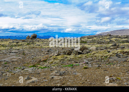 Landschaft von dynjandisheidi (Bergstrasse), im Westen Fjorde region, Island Stockfoto