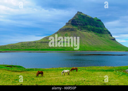 Landschaft, Pferde, und der kirkjufell Berg (Gemeinde Berg), in der Halbinsel Snaefellsnes, West Island Stockfoto