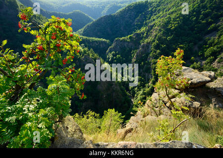 Deutschland, Sachsen-Anhalt, Harz, Thale, Blick auf das Bodetal von der Roßtrappe Stockfoto