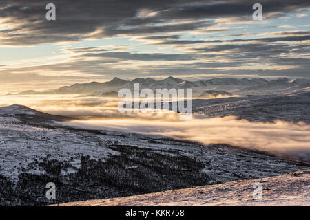 Dovrefjell Nationalpark, Oppdal, Norwegen Stockfoto