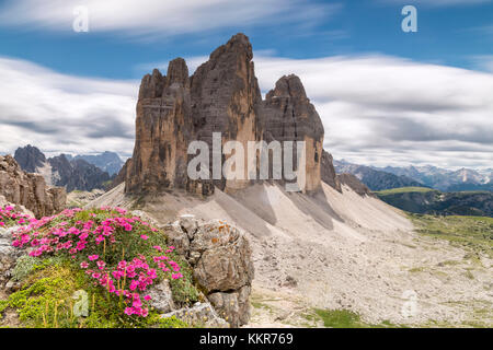 Sexten, Provinz Bozen, Dolomiten, Südtirol, Italien. Der Baum Spitzen Stockfoto