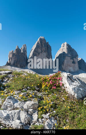 Sexten, Provinz Bozen, Dolomiten, Südtirol, Italien. Drei Zinnen von Lavaredo Stockfoto