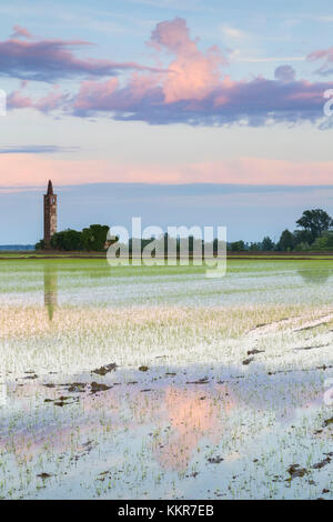 Sonnenuntergang über Reisfelder und verlassenen S. Antonio Kirche, Casaleggio di Vercelli, Novara, Piemont, Italien. Stockfoto