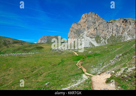 Trekking vom Passo Giau, Spiz de Mondeval, Cima Ambrizzola, Cortina d'Ampezzo und San Vito di Cadore, Dolomiten, Provinz Belluno, Region Venetien, Italien Stockfoto